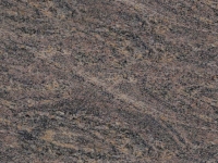 Himalayan Blue