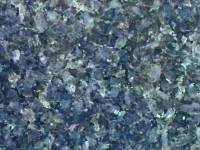Labrador Blue
