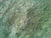 Tropical Green