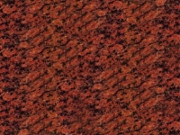 Vanga Red