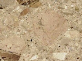 Breccia Aurora