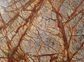 Rain Forest Brown