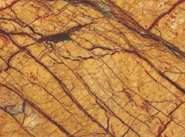 Rain Forest Gold
