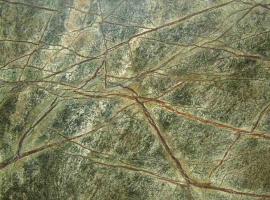 Rain Forest Green