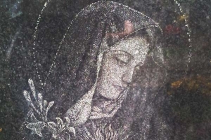 WIZ014